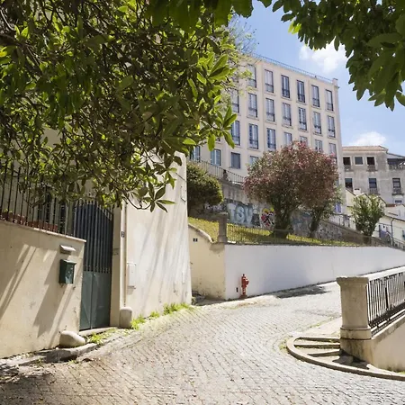 With Terrace In Downtown - Ttl279 *